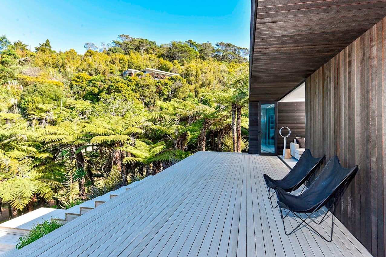 The deck among the tree ferns