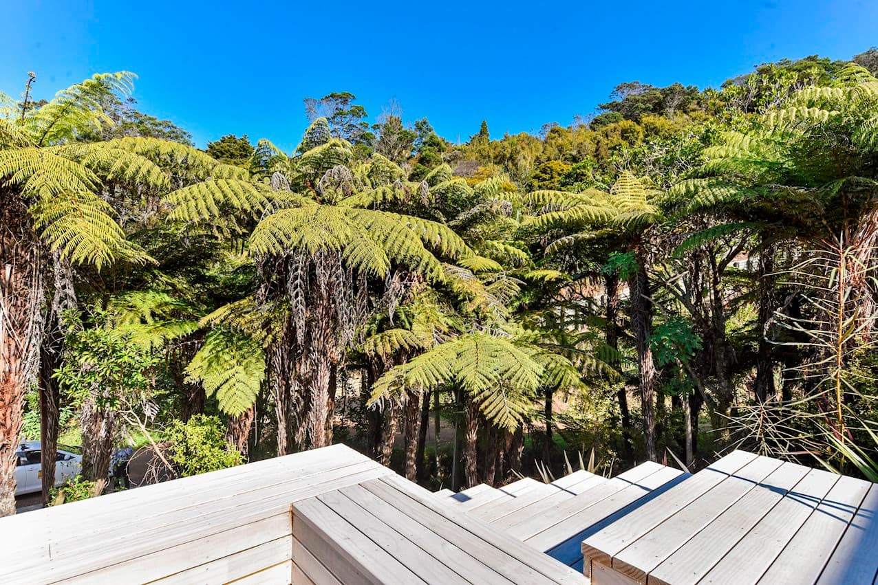 The outlook from the deck